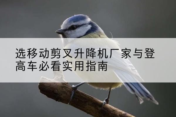 新城电动升降机厂家-选移动剪叉升降机厂家与登高车必看实用指南