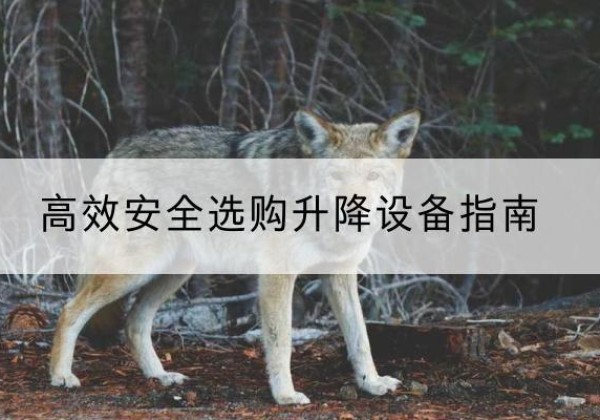 新城升降货梯厂家推荐-*安全选购升降设备指南